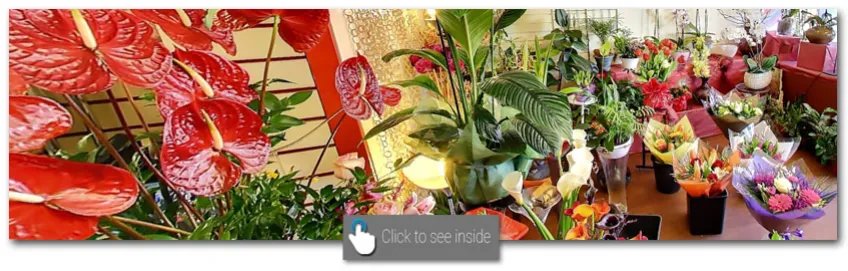 Ronit Flowers, London - 360° virtual tour