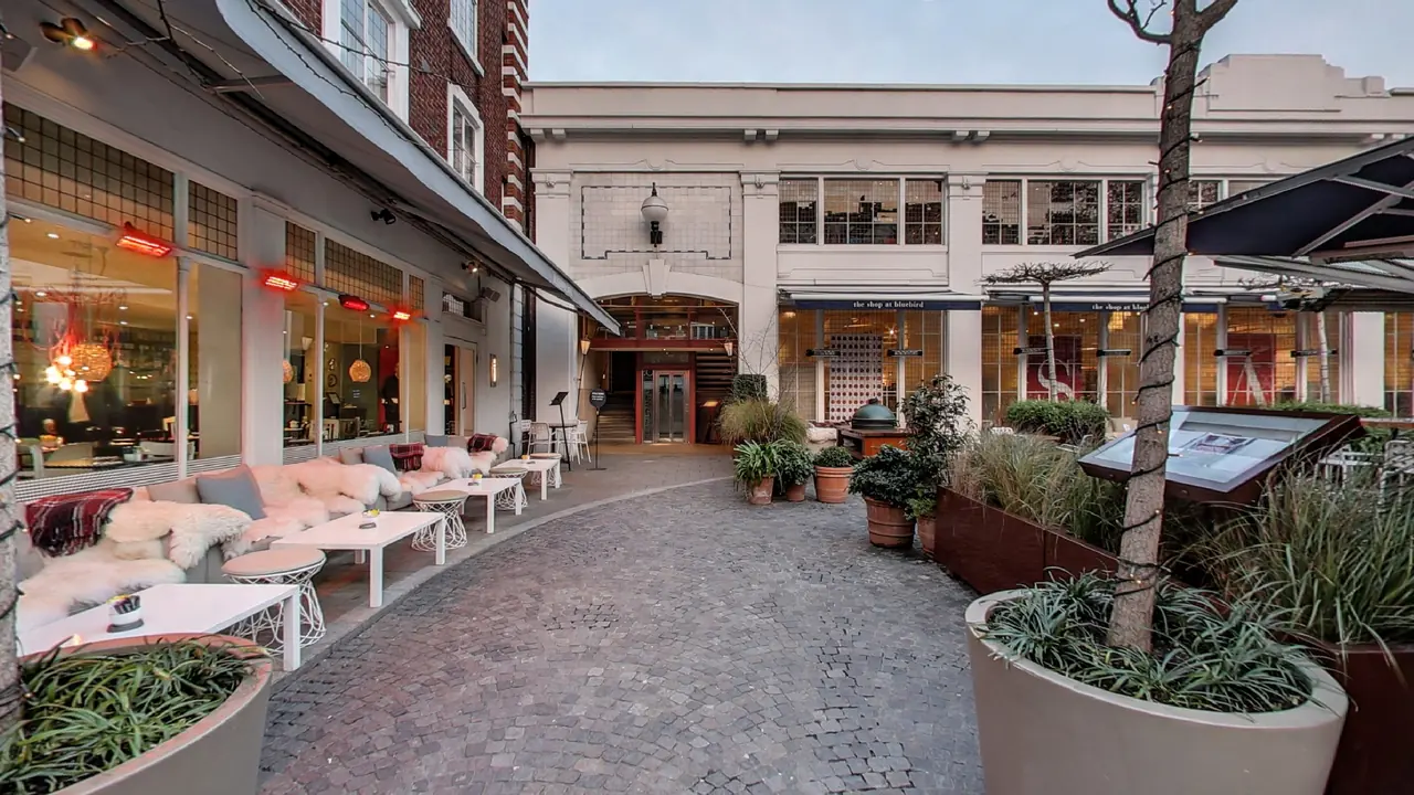 Bluebird Chelsea, London - preview